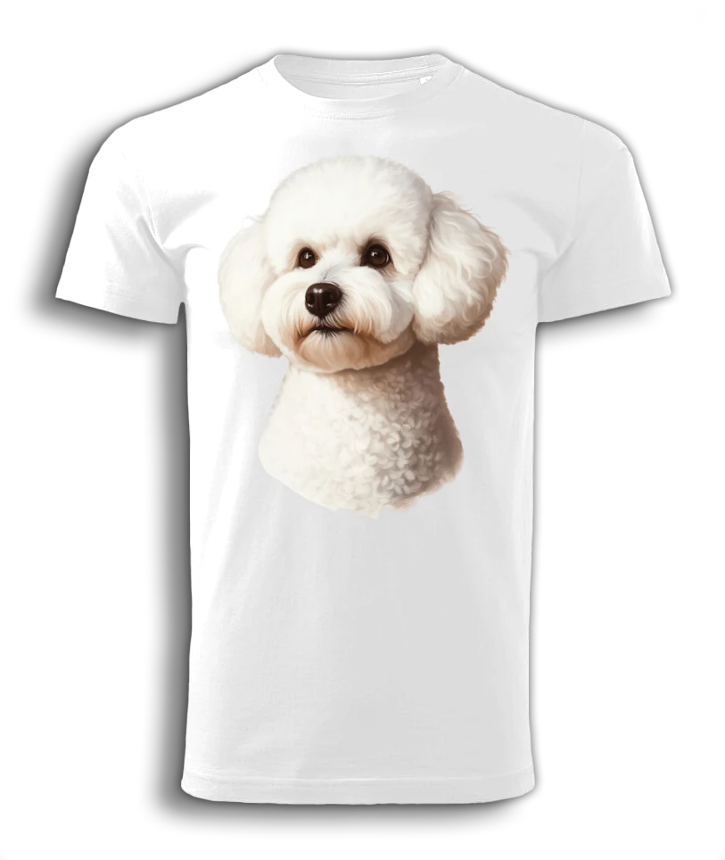 Bichon frisé 1